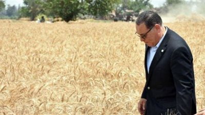 محافظ الشرقية يتابع توريد القمح للشون والصوامع والهناجر