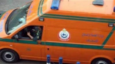 إصابة شخصين في مشاجرة بينهما بطما بسبب أولوية المرور بالطريق