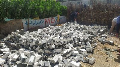 إزالة 7 حالات تعدٍ على أراضي زراعية وبناء مخالف بالبرلس ودسوق