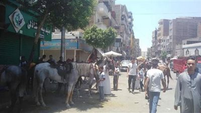 كورنيش النيل وركوب الخيل الأكثر إقبالًا فى العيد بقنا
