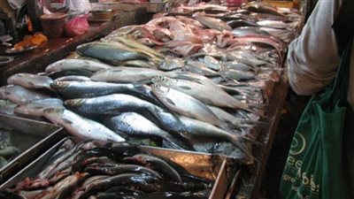أسعار الأسماك اليوم السبت ثاني أيام عيد الفطر