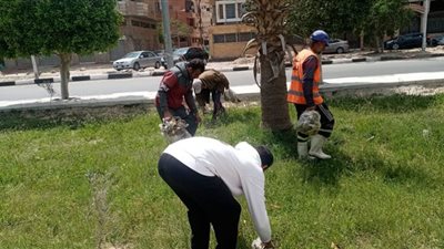 جهاز التطوير والتجميل يواصل أعمال ري وصيانة المسطحات الخضراء
