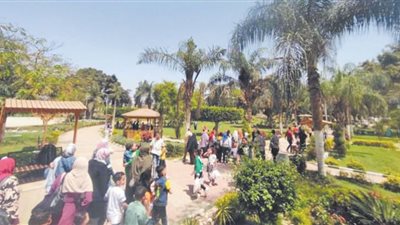 القناطر كاملة العدد وبأسعار فى المتناول