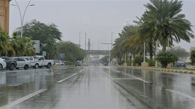 أمطار خفيفة إلى متوسطة تضرب عدة مناطق في السعودية