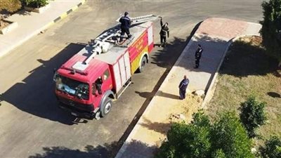 إنقاذ قطة عالقة بشقة مغلقة في أكتوبر وتسليمها لصاحبتها