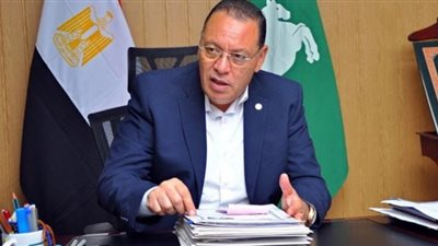 محافظ الشرقية يُصدر قراراً بإنهاء تكليف نائبي رئيس مركز أبوحماد