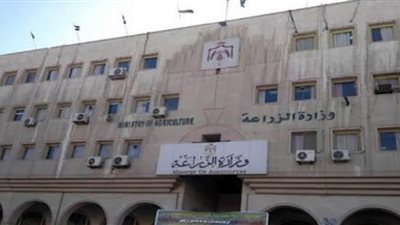 معرض خير مزارعنا لأهالينا» بالمتحف الزراعى