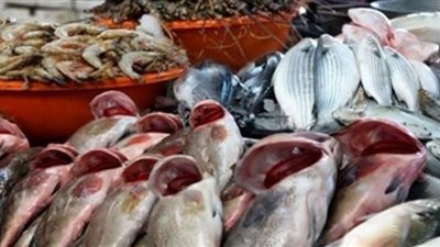 أسعار الأسماك في الأسواق اليوم
