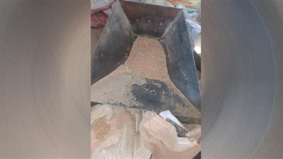 ضبط 30 طن قمح بمصنع أعلاف في المحلة