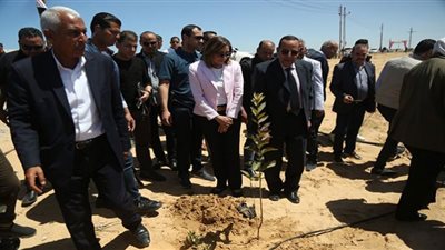 وزيرة الثقافة تشهد افتتاح مشروعات تنموية بالعريش والشيخ زويد