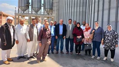 مديرية الزراعة تحصد 21 ألفًا و 933 فدانًا قمح بالإسكندرية