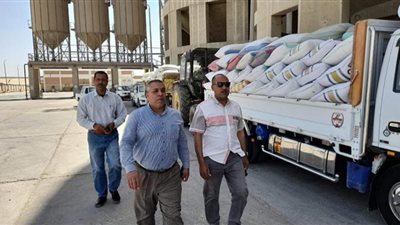 رئيس مركز إطسا بالفيوم يتابع أعمال توريد محصول القمح