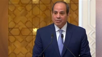 الرئيس السيسى: علاقة مصر مع النمسا مستقرة منذ أكثر من 150 عامًا (شاهد)