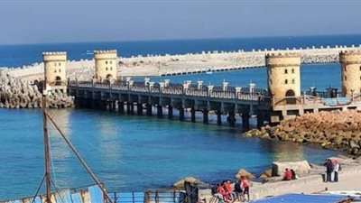 وزير الري يتابع أعمال حماية الشواطئ بالإسكندرية