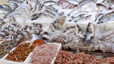 استقرار الجمبري.. أسعار الاسماك اليوم السبت في سوق العبور