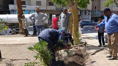 صور.. زراعة أشجار ضمن مبادرة 100 مليون شجرة في دسوق