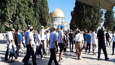 مُستوطنون يعتدون على فلسطينيين من رام الله ويسرقون سيارتهم