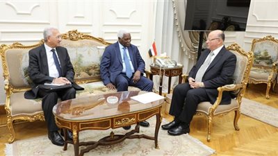 محافظ القاهرة: الرئيس السيسي يدعم تحقيق التنمية المستدامة في أفريقيا