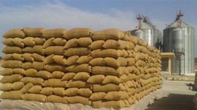 توريد 14 ألفًا و777 طن قمح بشون وصوامع القليوبية