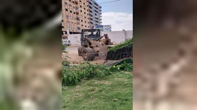 محافظ القليوبية يتابع انطلاق الموجة الـ 21 لإزالة التعديات