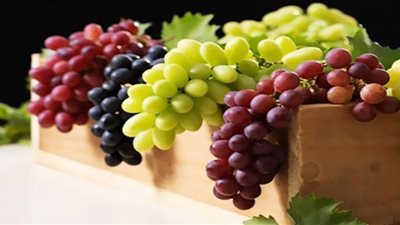 الفرق بين العنب الأخضر والأسود.. مفاجآت صادمة