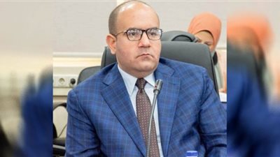 ٧٣.٧ مليون دولار استثمارات يابانية فى مصر خلال عام 2021
