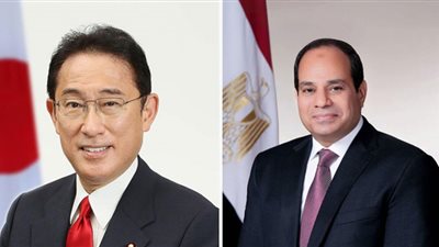 نص كلمة السيسي خلال القمة المصرية اليابانية