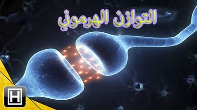 أطعمة تجنبها للحفاظ على التوازن الهرموني في الصيف