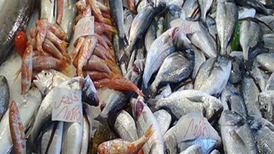 البلطي بـ75 جنيهًا.. أسعار الأسماك اليوم الأحد للمستهلك