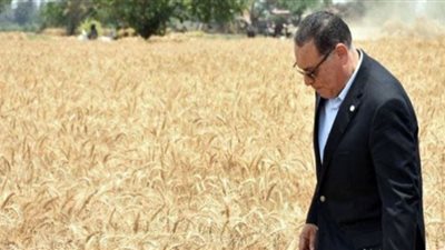 محافظ الشرقية: انتظام حركة حصاد وتوريد الأقماح للشون والصوامع