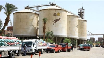 وصفة سحرية تبطئ نمو الشعر في الجسم