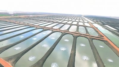 زراعة البرلمان تناقش أزمة ارتفاع القيمة الإيجارية للمزارع السمكية