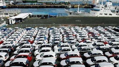 المصريون بالخارج يطالبون بمد فترة مبادرة استيراد السيارات (شاهد)