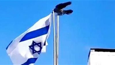 جنود ربك تغزو الكيان المحتل وتُسقط رايته.. شاهد