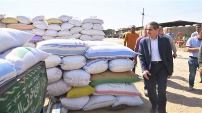 توريد 23 ألفا و946 طن قمح بالغربية
