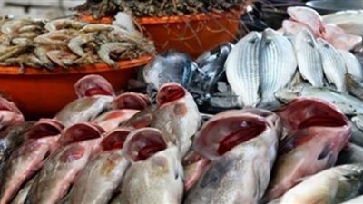 أسعار الأسماك في الأسواق اليوم الثلاثاء