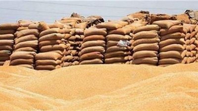 توريد 37ألف طن قمح لشون وصوامع البحيرة