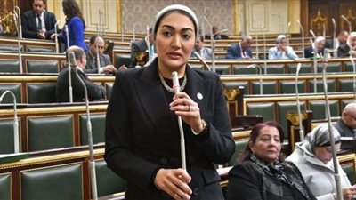 النائبة أسماء الجمال: الحوار الوطني فرصة للمشاركة في صناعة المستقبل