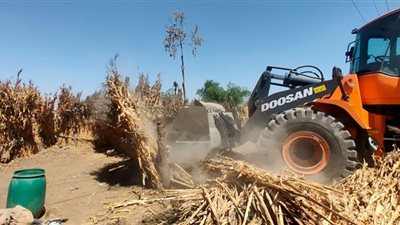 بني سويف: إزالة 87 حالة تعدٍ فى المرحلة الأولى من الموجة الـ21 لإزالة التعديات