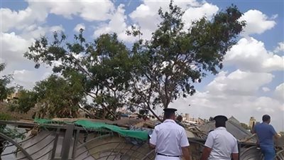 القليوبية: إزالة 183 حالة تعدٍ ضمن الموجة الـ21 لإزالة التعديات