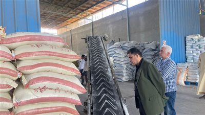 الإسماعيلية: 
