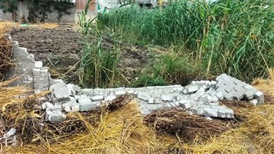 إزالة 79 حالة تعدٍ على الأراضي الزراعية بالبحيرة