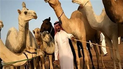  4 جمال من السعودية لجد تشارلز.. تنصيب الملك البريطاني قبل 85 عامًا