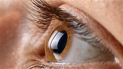 تأثير الشاي والقهوة على شبكية العين