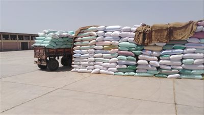 إحباط تحويل 7 أطنان قمح محلي بالبحيرة إلى علف للماشية 