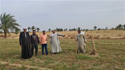  2200 فدان مهددة بالبوار| صور 