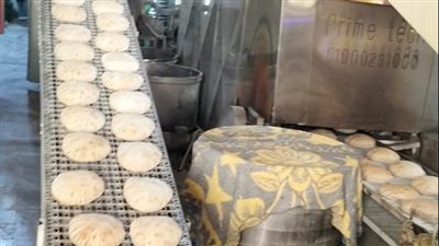 وكيل وزارة التموين بالإسكندرية: استقبلنا 28 ألف طن قمح