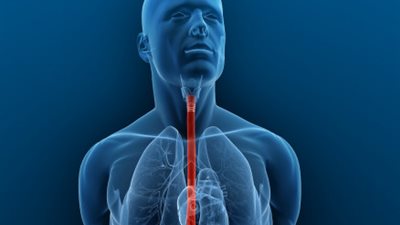 علامات تدل على إصابتك بسرطان المريء منها صعوبة البلع