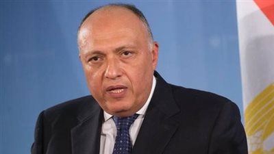 سبب زيارة وزير الخارجية إلى تشاد وعلاقتها بأزمة السودان .. فيديو