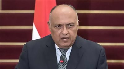 وزير الخارجية: الحرب السودانية لها آثارًا سلبية على دول الجوار